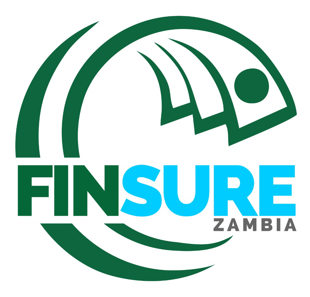 Personal Packagess and Business Packagess - Instant Cash | Finsure.co.zm